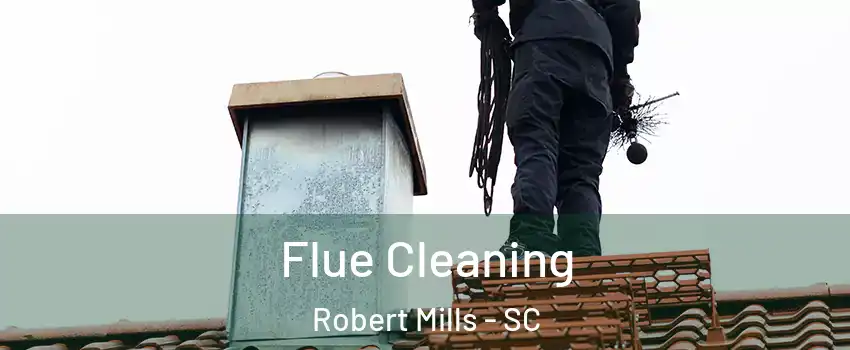 Flue Cleaning Robert Mills - SC