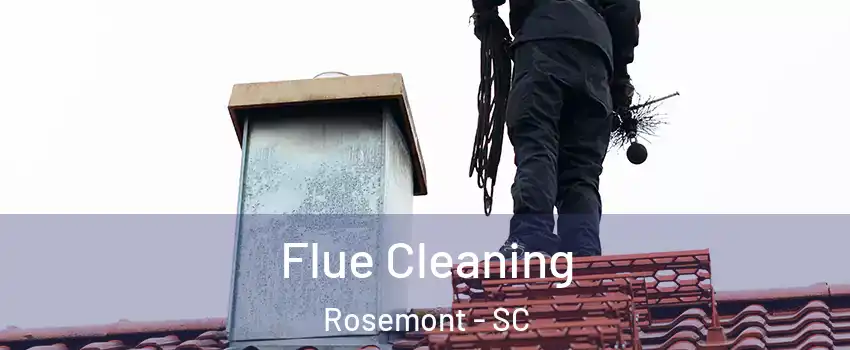 Flue Cleaning Rosemont - SC