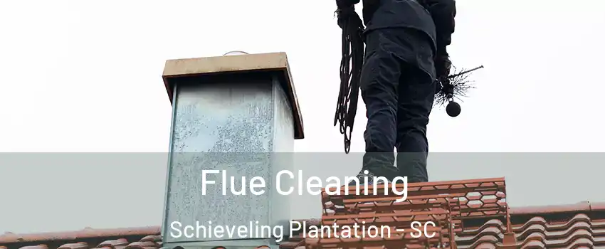 Flue Cleaning Schieveling Plantation - SC