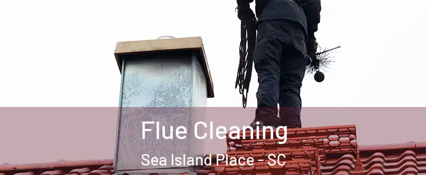 Flue Cleaning Sea Island Place - SC