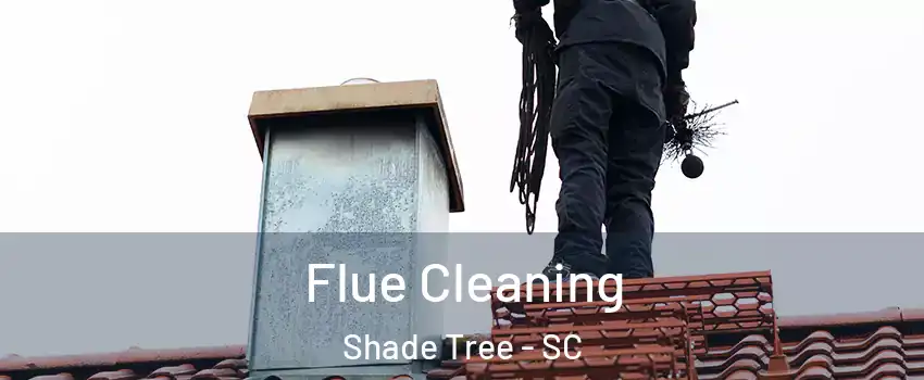 Flue Cleaning Shade Tree - SC