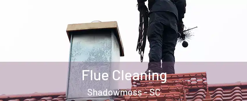 Flue Cleaning Shadowmoss - SC