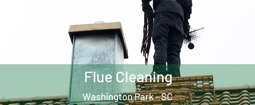 Flue Cleaning Washington Park - SC