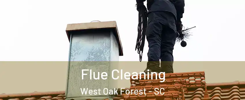 Flue Cleaning West Oak Forest - SC