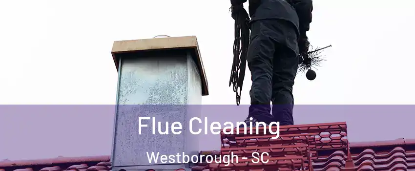 Flue Cleaning Westborough - SC