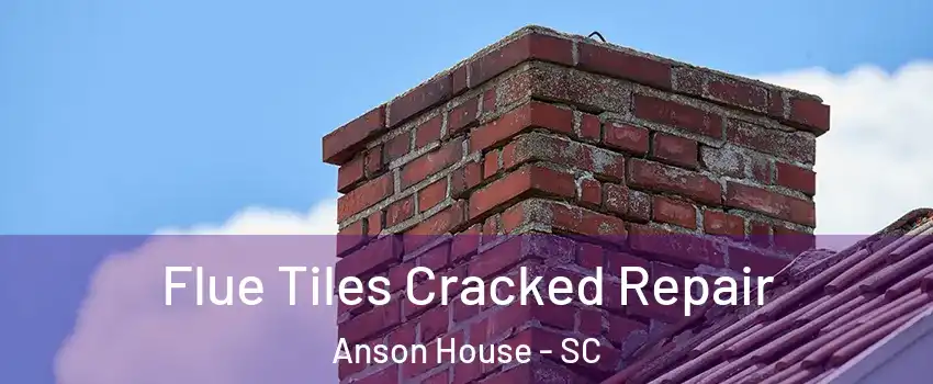 Flue Tiles Cracked Repair Anson House - SC