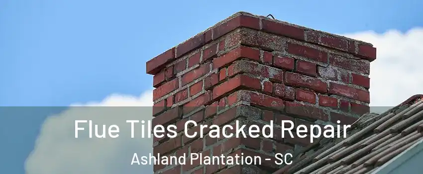 Flue Tiles Cracked Repair Ashland Plantation - SC