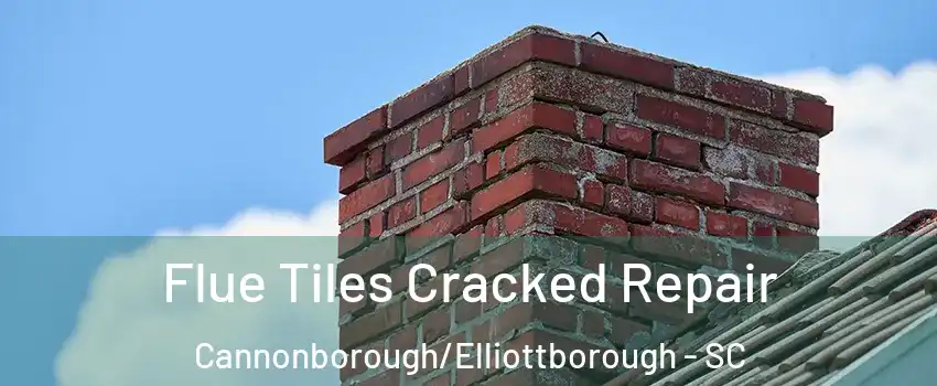 Flue Tiles Cracked Repair Cannonborough/Elliottborough - SC