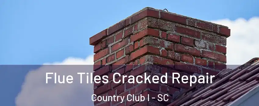 Flue Tiles Cracked Repair Country Club I - SC