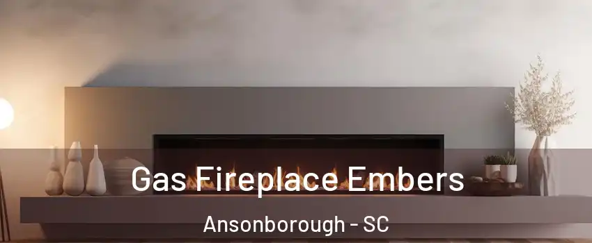 Gas Fireplace Embers Ansonborough - SC