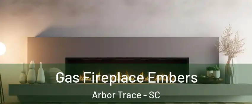 Gas Fireplace Embers Arbor Trace - SC