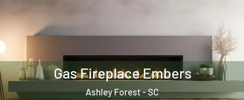 Gas Fireplace Embers Ashley Forest - SC