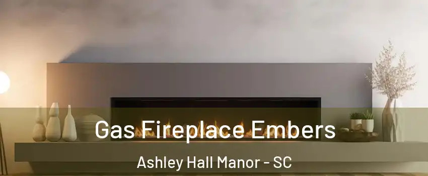 Gas Fireplace Embers Ashley Hall Manor - SC