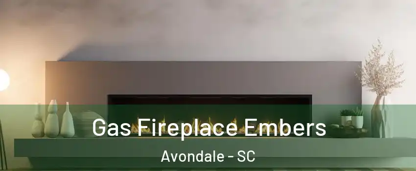 Gas Fireplace Embers Avondale - SC