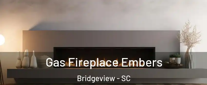 Gas Fireplace Embers Bridgeview - SC