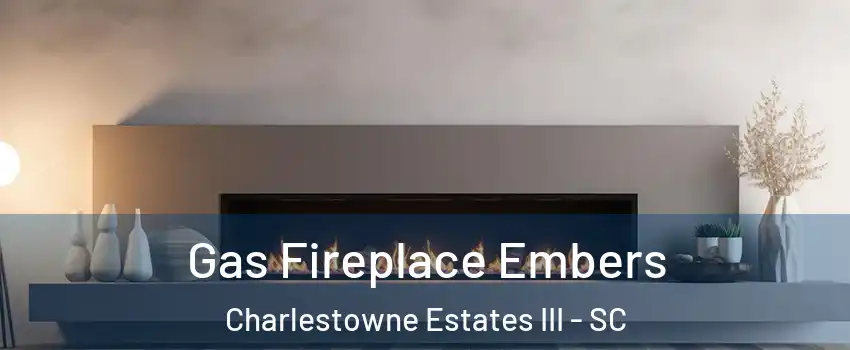 Gas Fireplace Embers Charlestowne Estates III - SC