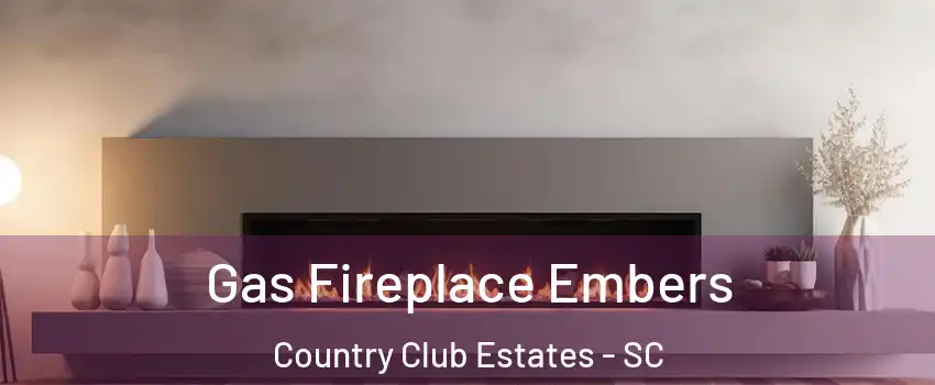 Gas Fireplace Embers Country Club Estates - SC