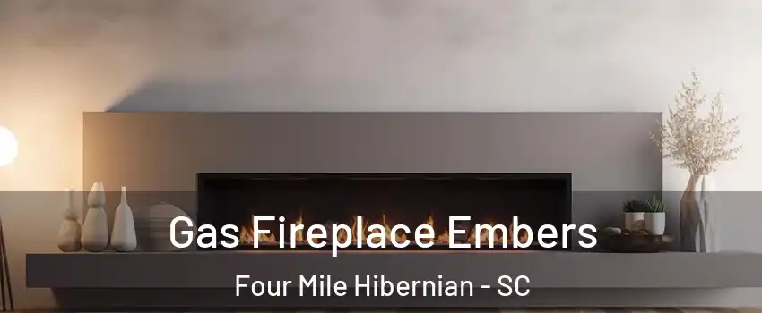 Gas Fireplace Embers Four Mile Hibernian - SC