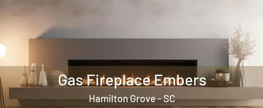 Gas Fireplace Embers Hamilton Grove - SC