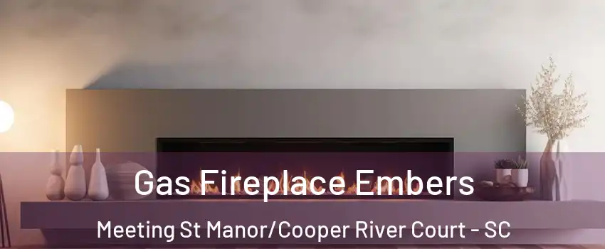 Gas Fireplace Embers Meeting St Manor/Cooper River Court - SC