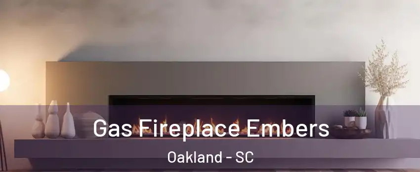 Gas Fireplace Embers Oakland - SC