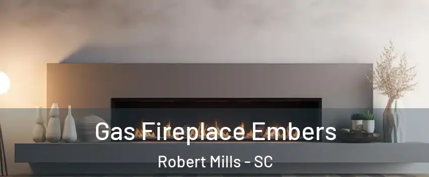 Gas Fireplace Embers Robert Mills - SC