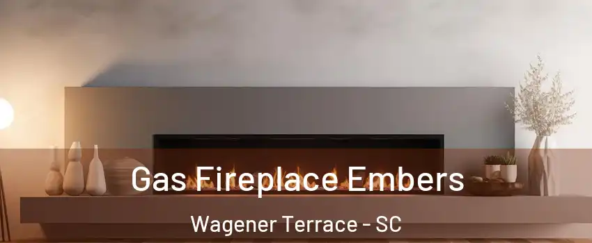 Gas Fireplace Embers Wagener Terrace - SC