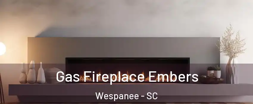 Gas Fireplace Embers Wespanee - SC