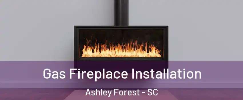 Gas Fireplace Installation Ashley Forest - SC