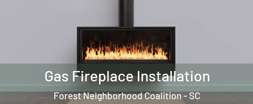 Gas Fireplace Installation Forest Neighborhood Coalition - SC