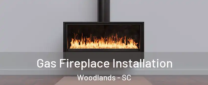 Gas Fireplace Installation Woodlands - SC