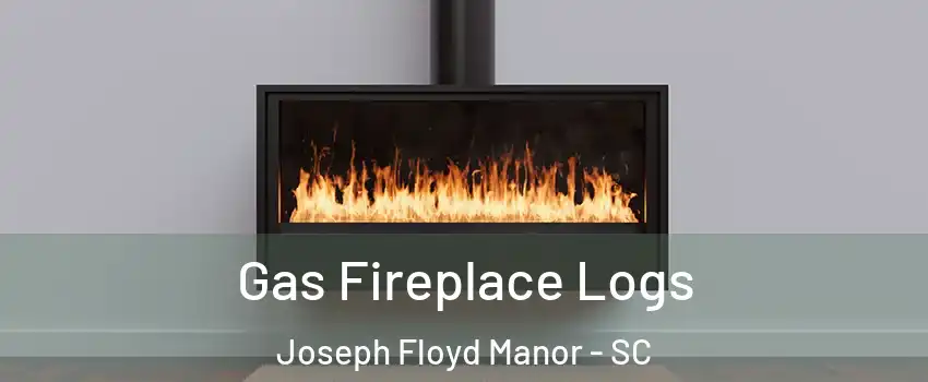 Gas Fireplace Logs Joseph Floyd Manor - SC