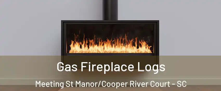 Gas Fireplace Logs Meeting St Manor/Cooper River Court - SC