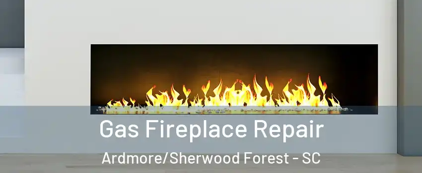 Gas Fireplace Repair Ardmore/Sherwood Forest - SC