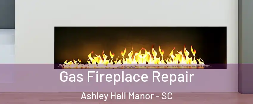 Gas Fireplace Repair Ashley Hall Manor - SC