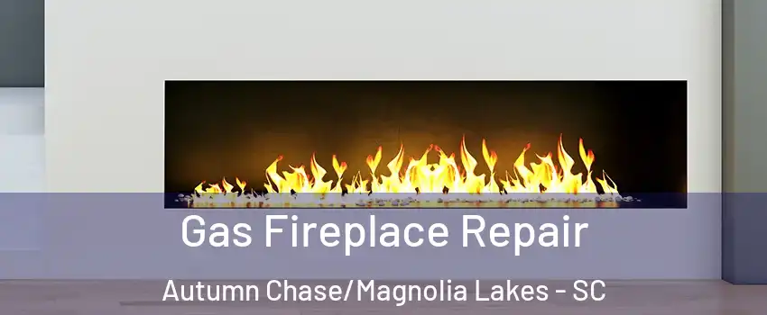 Gas Fireplace Repair Autumn Chase/Magnolia Lakes - SC