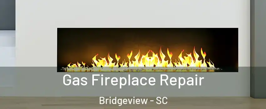 Gas Fireplace Repair Bridgeview - SC