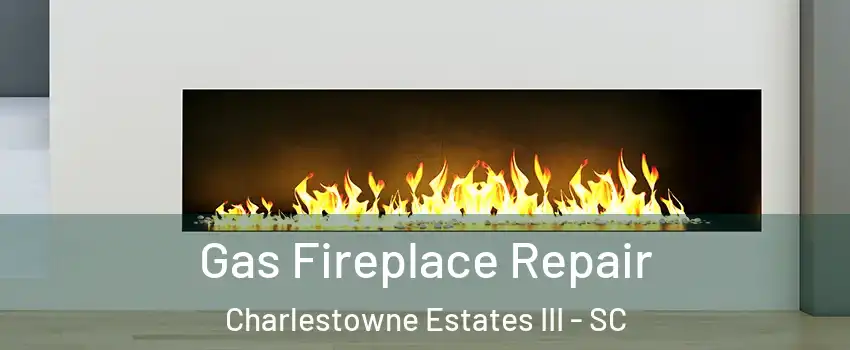 Gas Fireplace Repair Charlestowne Estates III - SC