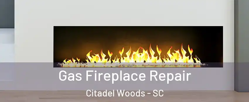 Gas Fireplace Repair Citadel Woods - SC