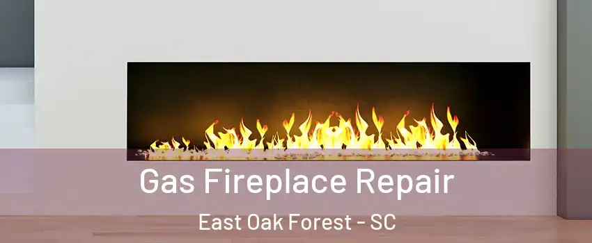 Gas Fireplace Repair East Oak Forest - SC