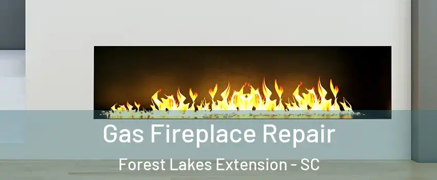 Gas Fireplace Repair Forest Lakes Extension - SC