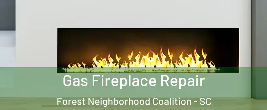 Gas Fireplace Repair Forest Neighborhood Coalition - SC