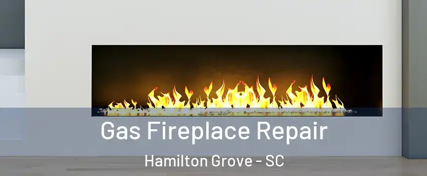 Gas Fireplace Repair Hamilton Grove - SC