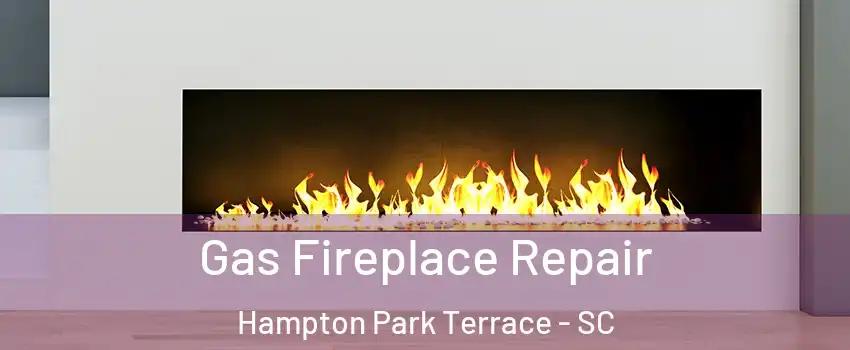 Gas Fireplace Repair Hampton Park Terrace - SC