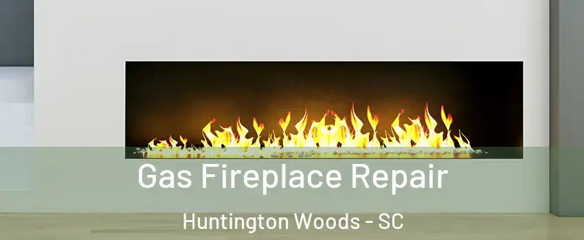 Gas Fireplace Repair Huntington Woods - SC