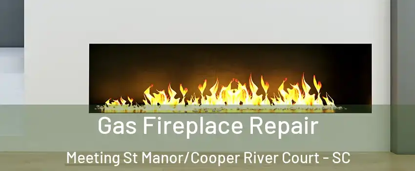 Gas Fireplace Repair Meeting St Manor/Cooper River Court - SC