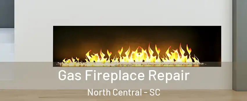 Gas Fireplace Repair North Central - SC