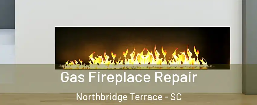 Gas Fireplace Repair Northbridge Terrace - SC