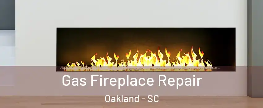 Gas Fireplace Repair Oakland - SC