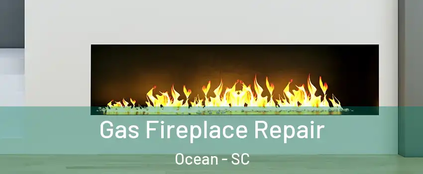 Gas Fireplace Repair Ocean - SC